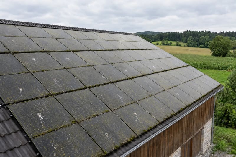 Photovoltaikanlage auf dem Dach eines Stallgebäudes, die Module grau verschmutzt, mit Vogelkot und Moos an den Rändern
